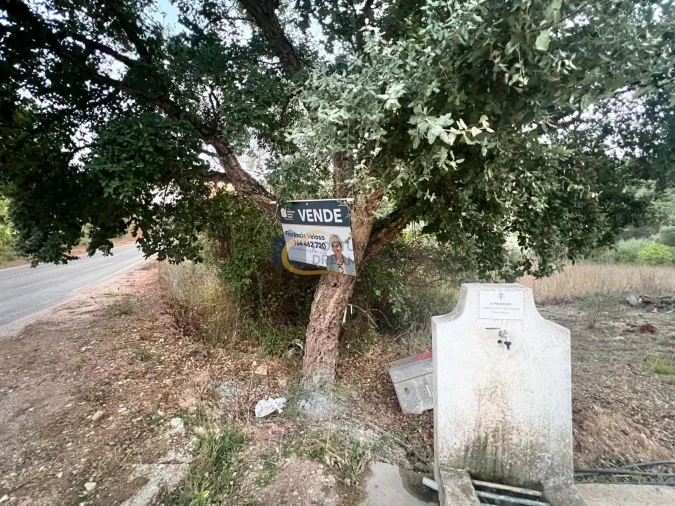 Terreno Agricola ou Rústico para Venda em Alte Foto 38