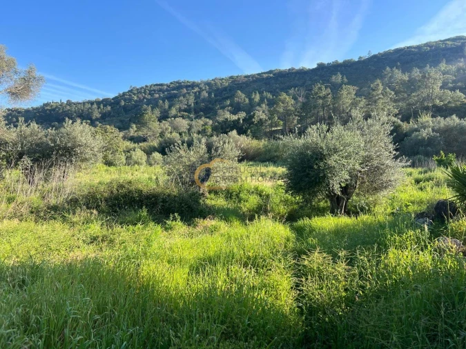 Terreno Agricola ou Rústico para Venda em Alte Foto 32