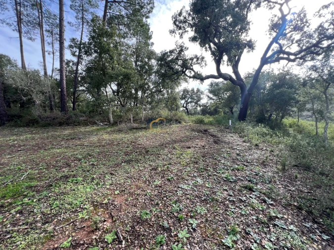 Terreno Agricola ou Rústico para Venda em Alte Foto 6