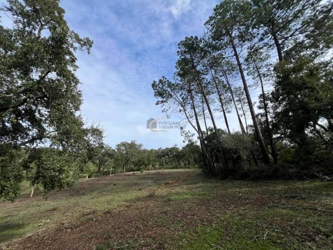 Terreno Agricola ou Rústico para Venda em Alte Foto 5