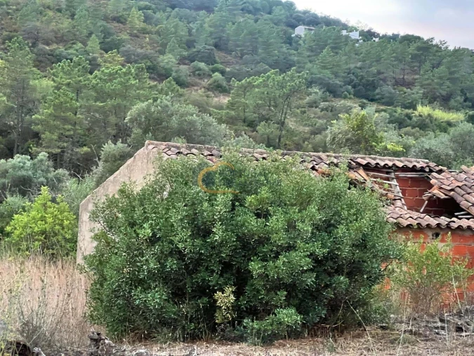 Terreno Agricola ou Rústico para Venda em Alte Foto 35