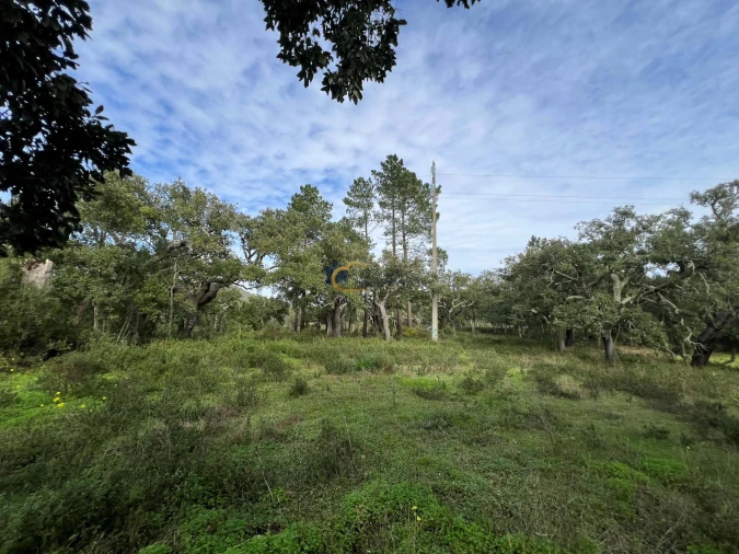 Terreno Agricola ou Rústico para Venda em Alte Foto 15