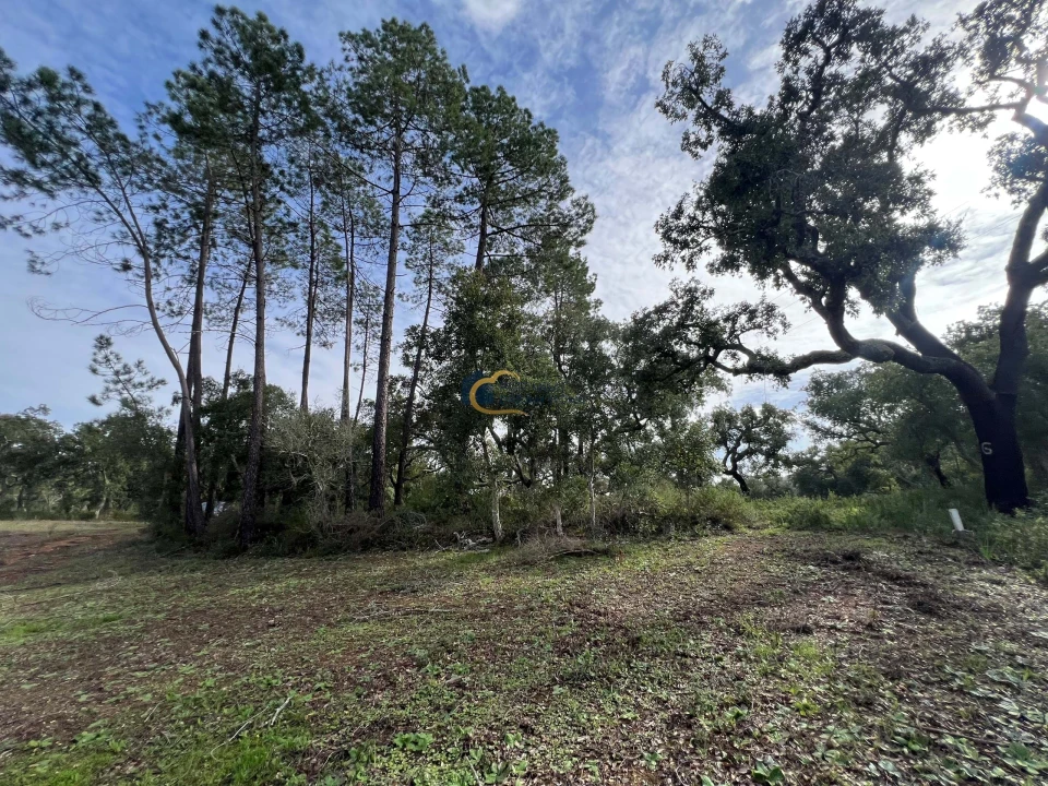 Terreno Agricola ou Rústico para Venda em Alte Foto 4