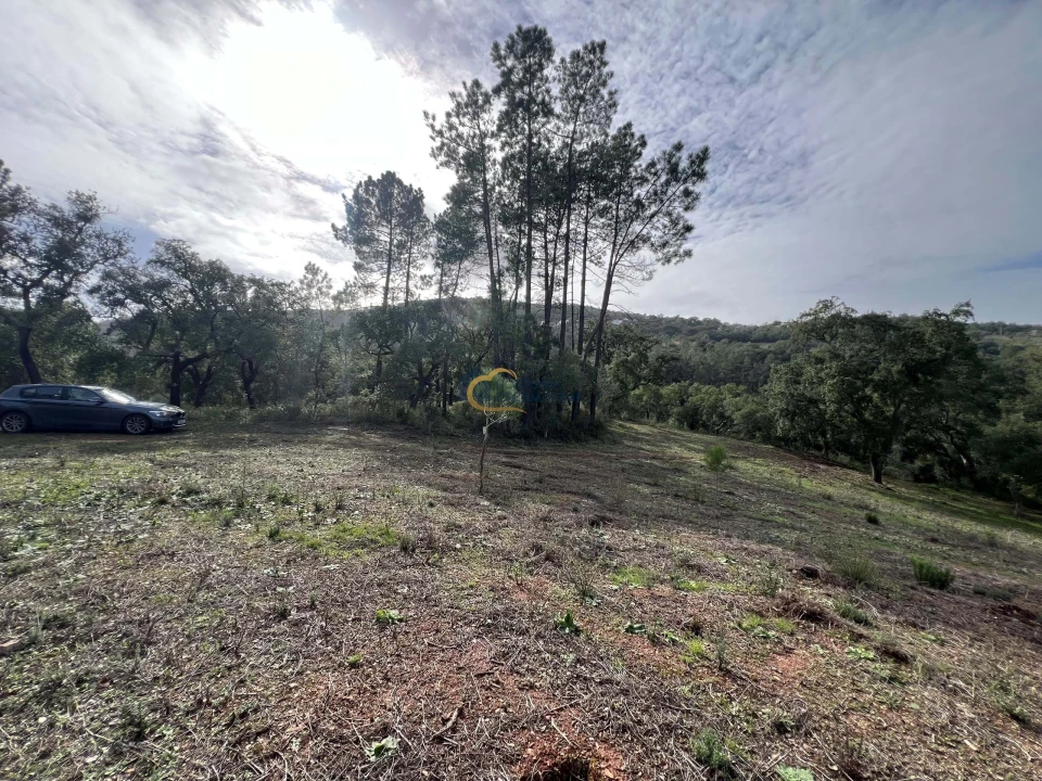 Terreno Agricola ou Rústico para Venda em Alte Foto 9