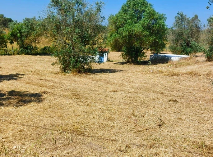 Moradia T2 para Venda em Pavia Foto 4