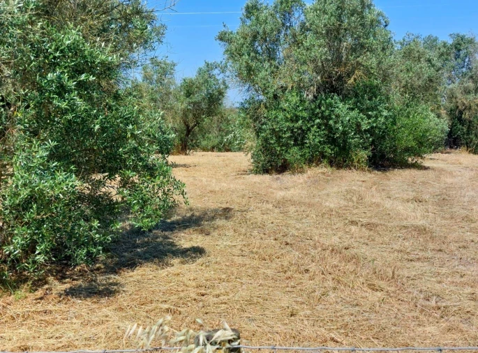 Moradia T2 para Venda em Pavia Foto 5