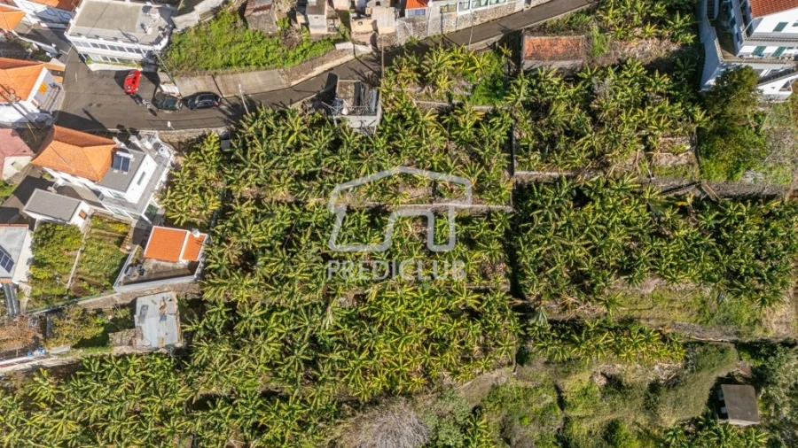 Terreno para Venda em Calheta Foto 3