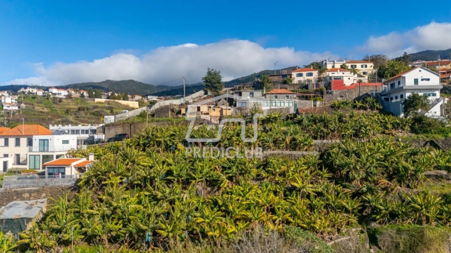 Terreno para Venda em Calheta Foto 21