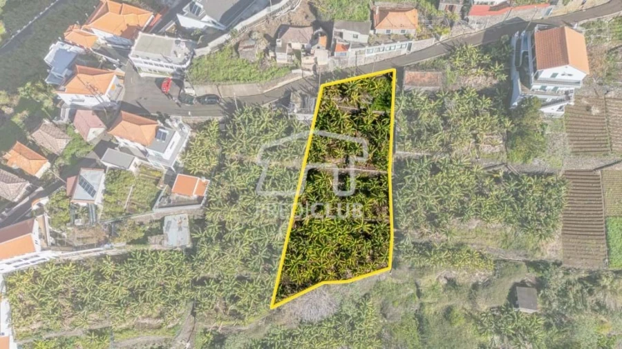 Terreno para Venda em Calheta Foto 5