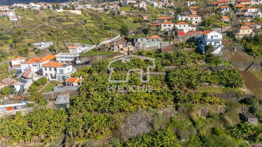 Terreno para Venda em Calheta Foto 19