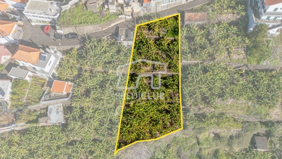 Terreno para Venda em Calheta Foto 2