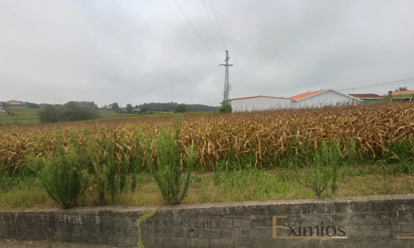 Terreno para Venda em Aveleda Foto 1