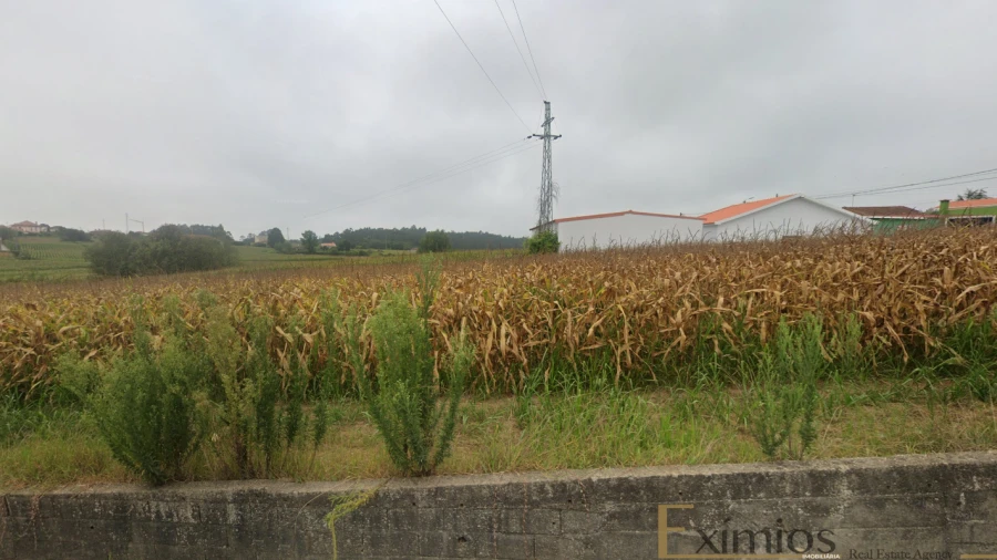 Terreno para Venda em Aveleda