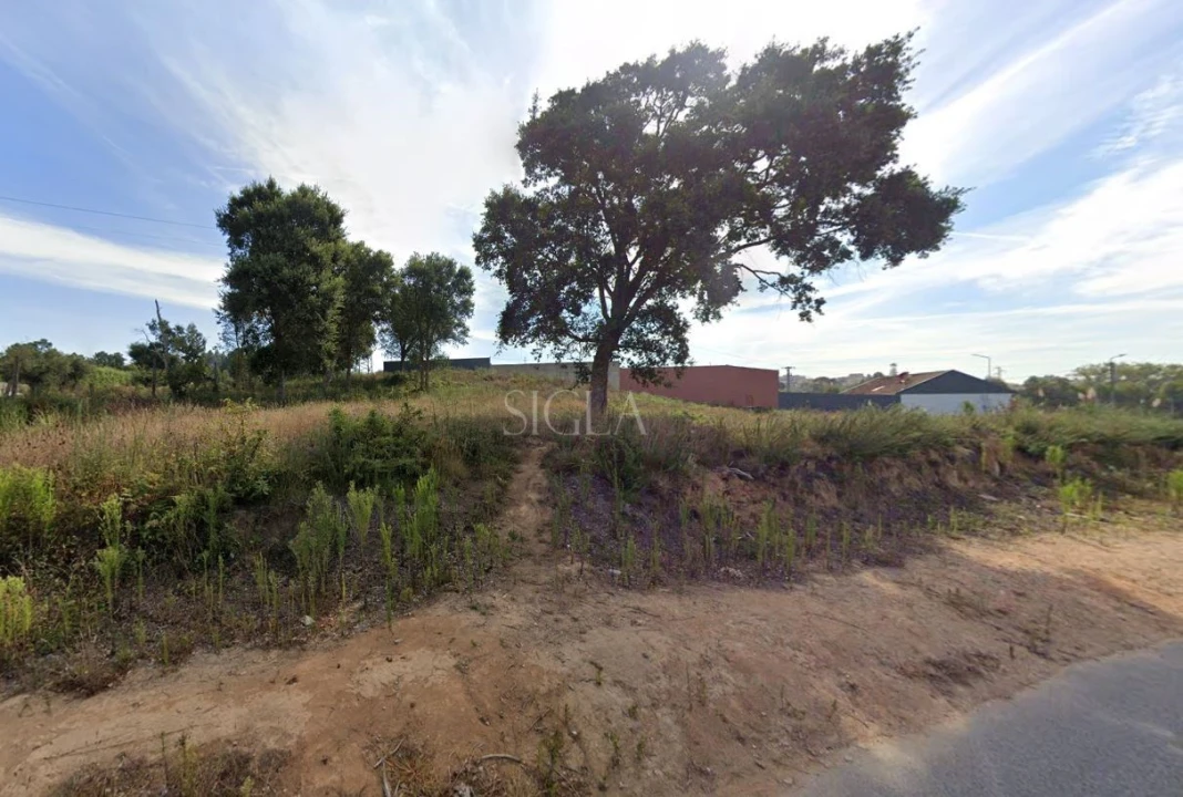 Terreno para Venda em Madalena Foto 1