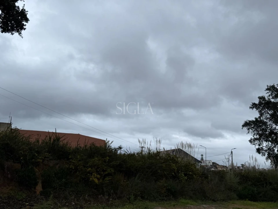 Terreno para Venda em Madalena Foto 2