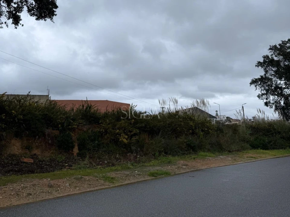 Terreno para Venda em Madalena Foto 3