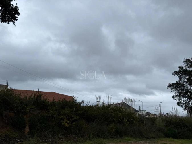 Terreno para Venda em Madalena Foto 2