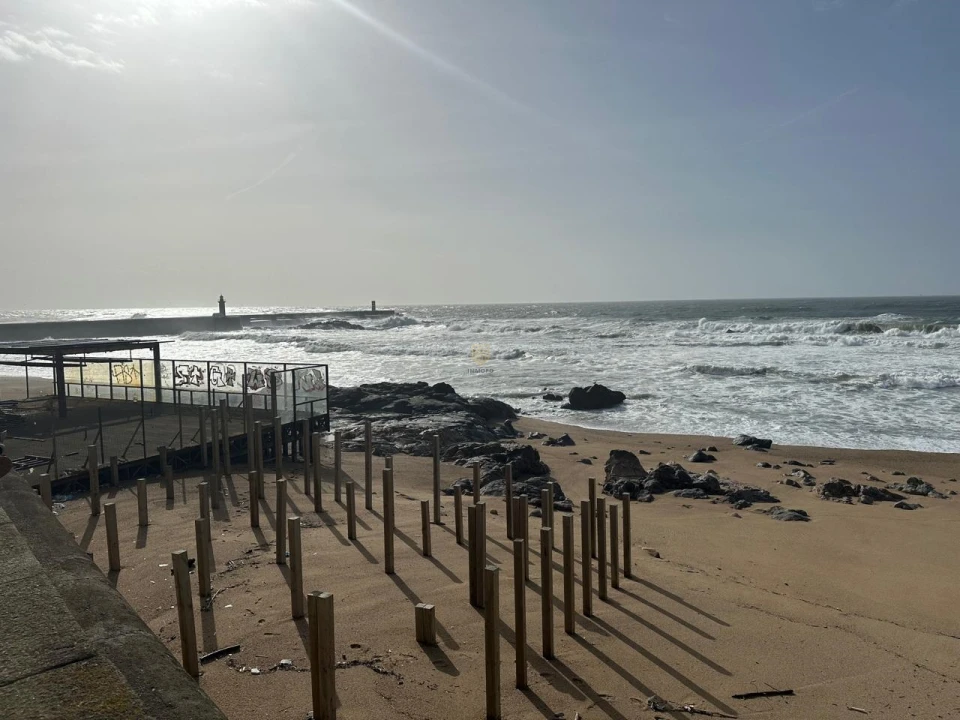 Apartamento T1 para Arrendamento em Aldoar, Foz do Douro e Nevogilde Foto 22