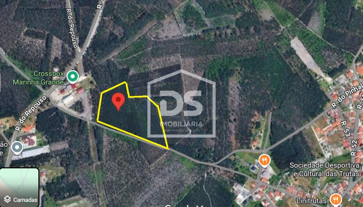 Terreno Agricola ou Rústico para Venda em Marinha Grande Foto 1
