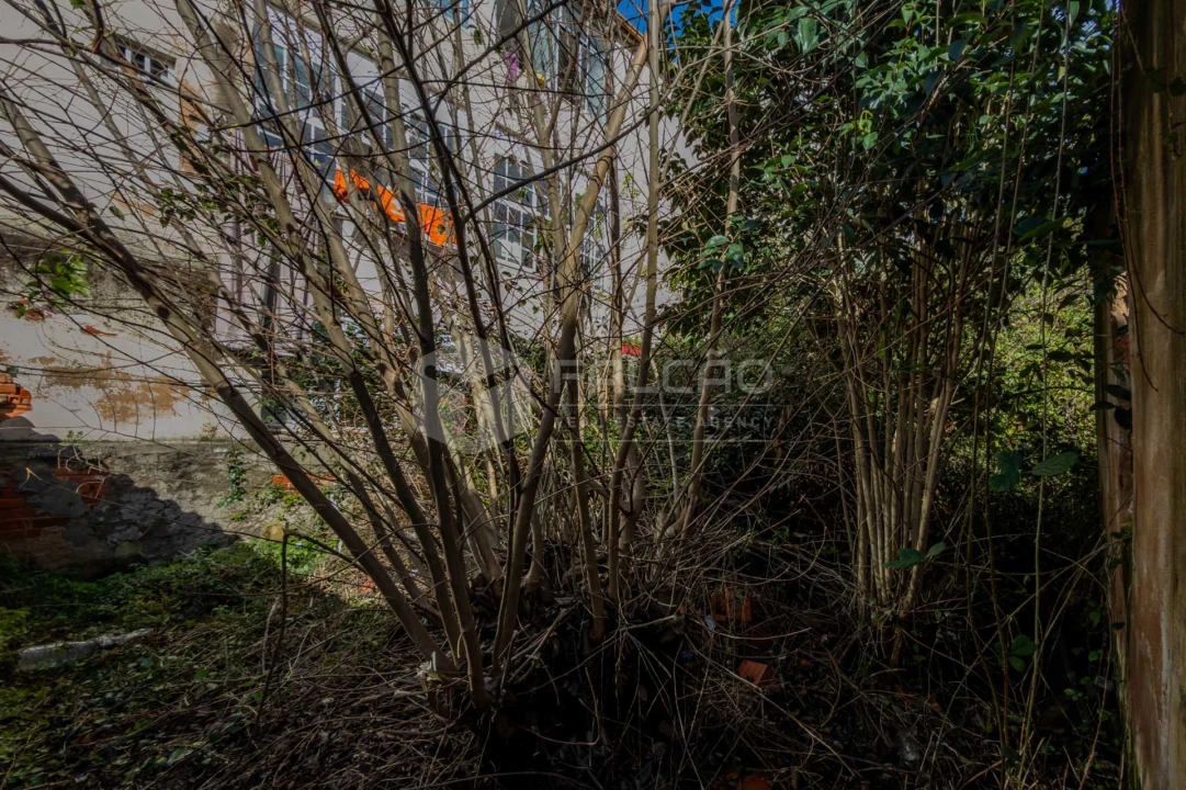 Moradia T3 para Venda em Marvila, Ribeira Santarém, São Salvador, São Nicolau Foto 24