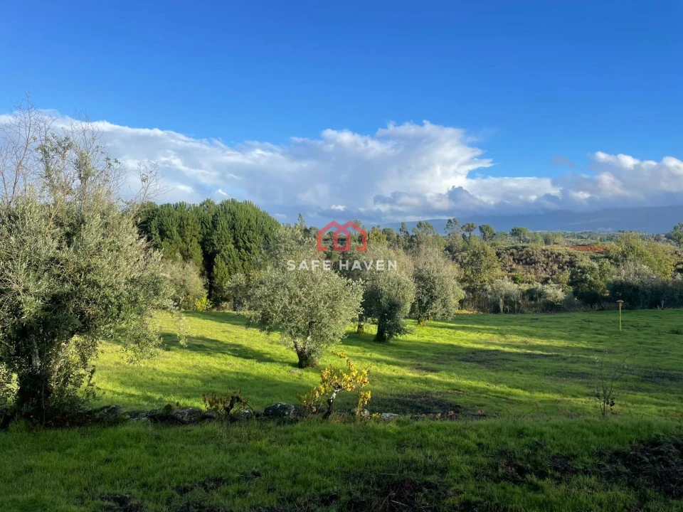 Quinta T0 para Venda em Santiago de Cassurrães e Póvoa de Cervães Foto 9