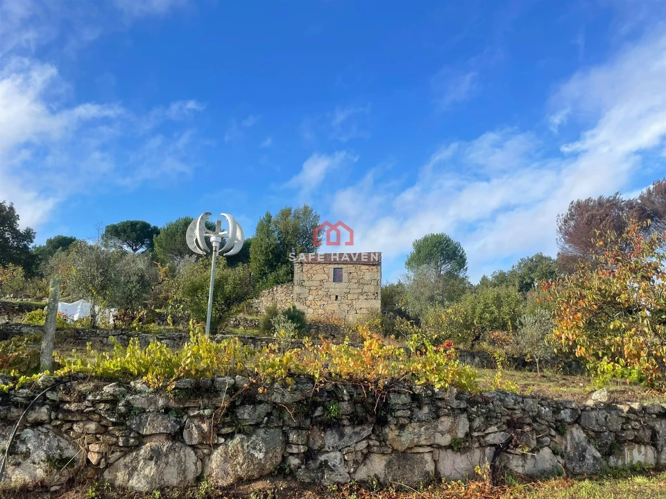 Quinta T0 para Venda em Santiago de Cassurrães e Póvoa de Cervães Foto 1