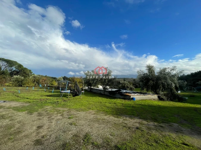 Quinta T0 para Venda em Santiago de Cassurrães e Póvoa de Cervães Foto 12
