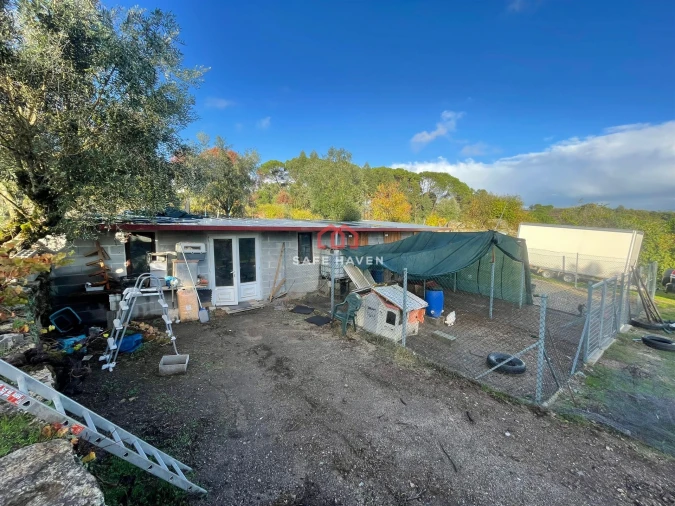 Quinta T0 para Venda em Santiago de Cassurrães e Póvoa de Cervães Foto 2