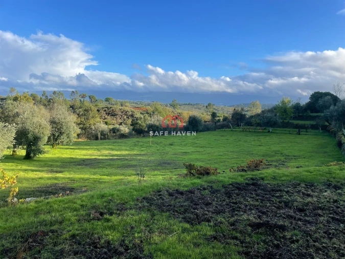 Quinta T0 para Venda em Santiago de Cassurrães e Póvoa de Cervães Foto 13