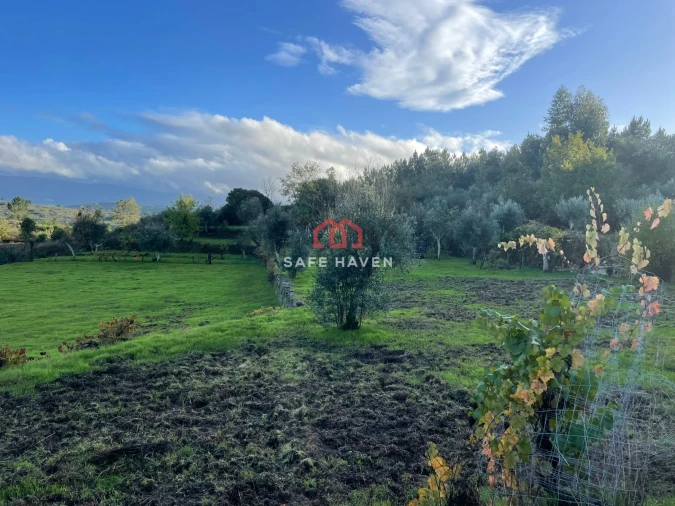 Quinta T0 para Venda em Santiago de Cassurrães e Póvoa de Cervães Foto 8