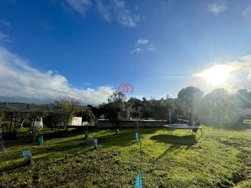 Quinta T0 para Venda em Santiago de Cassurrães e Póvoa de Cervães Foto 7