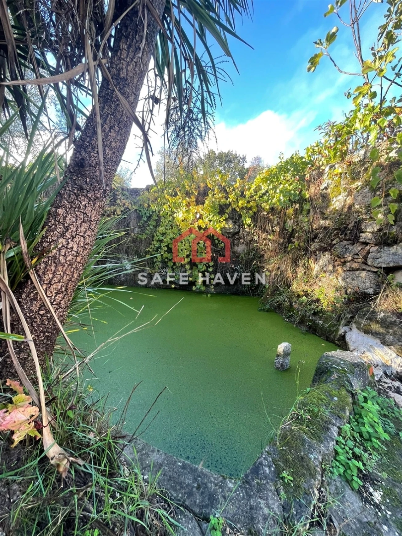 Quinta T0 para Venda em Santiago de Cassurrães e Póvoa de Cervães Foto 11