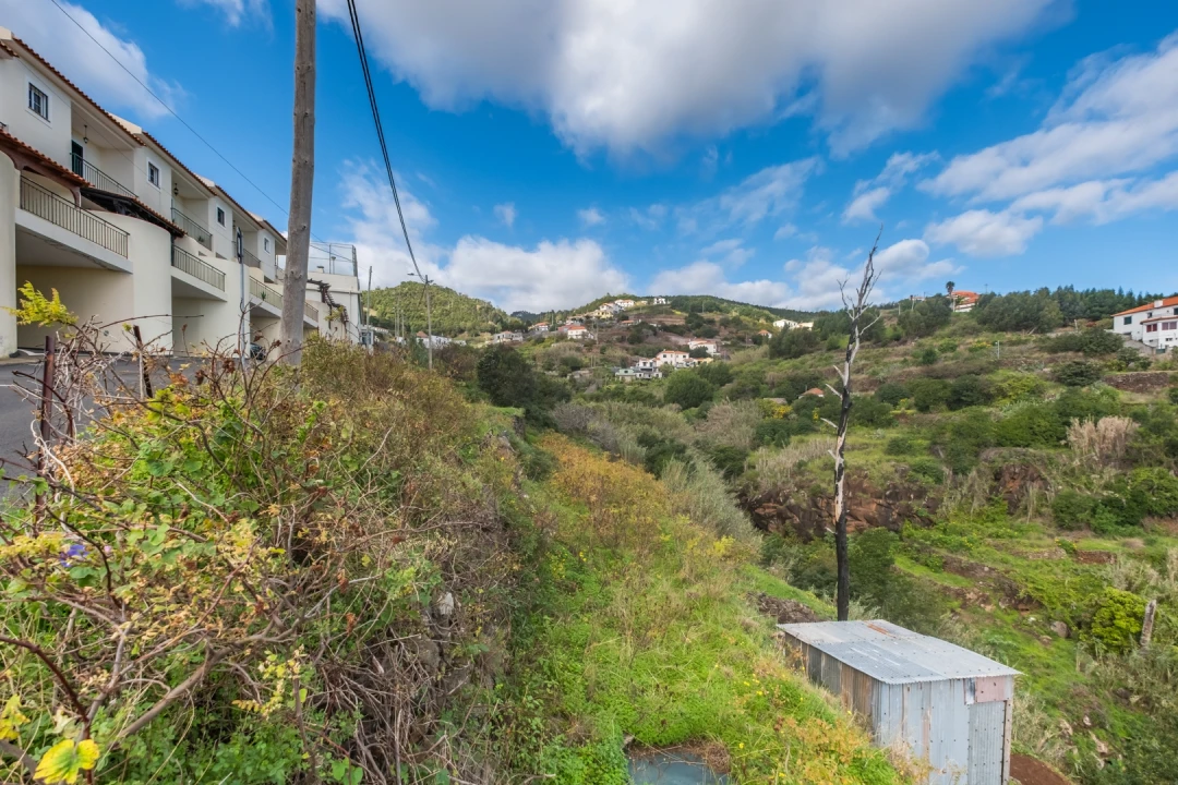 Terreno para Venda em Gaula Foto 7