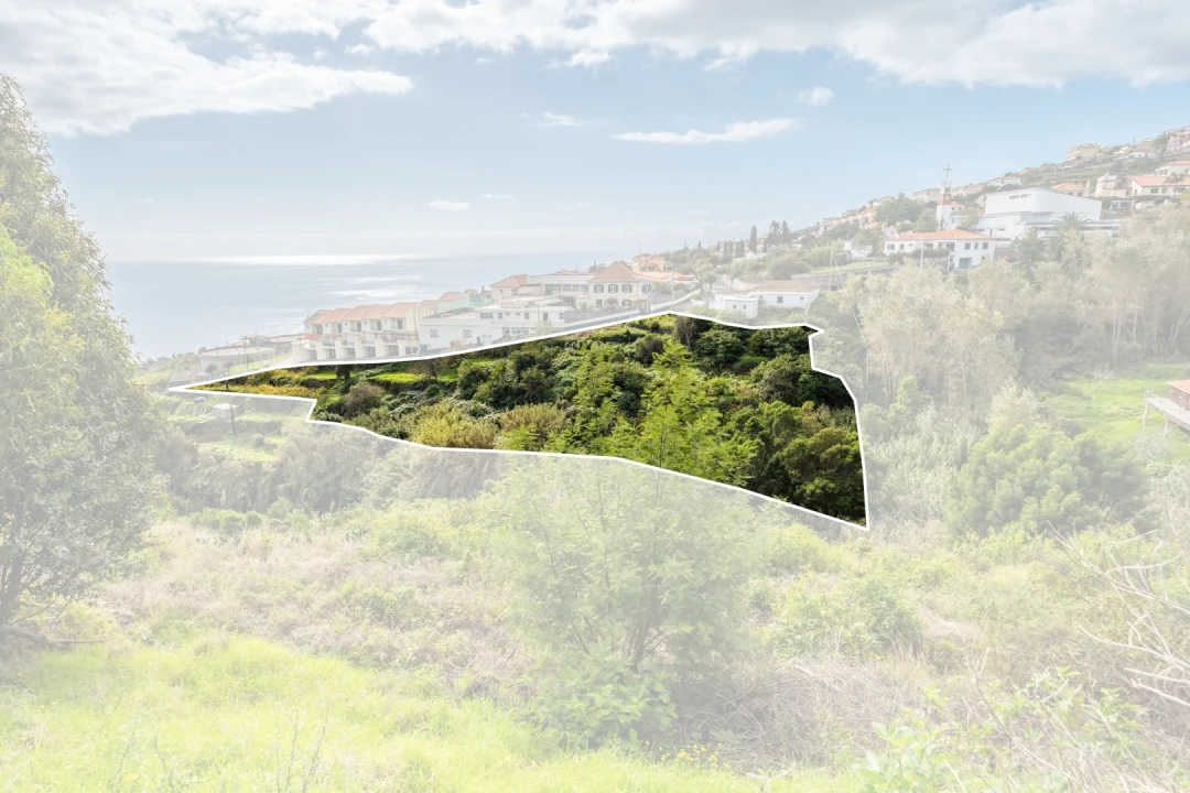 Terreno para Venda em Gaula Foto 10