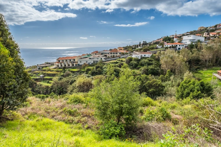 Terreno para Venda em Gaula Foto 8