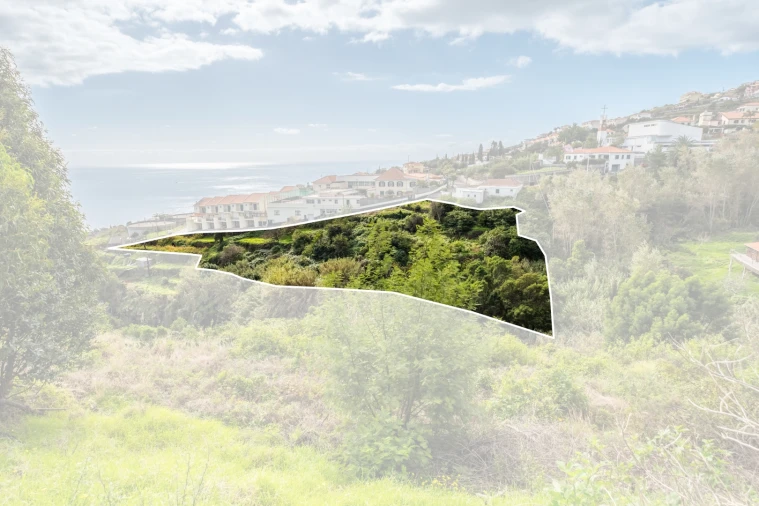 Terreno para Venda em Gaula Foto 10