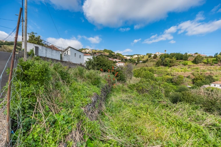 Terreno para Venda em Gaula Foto 4
