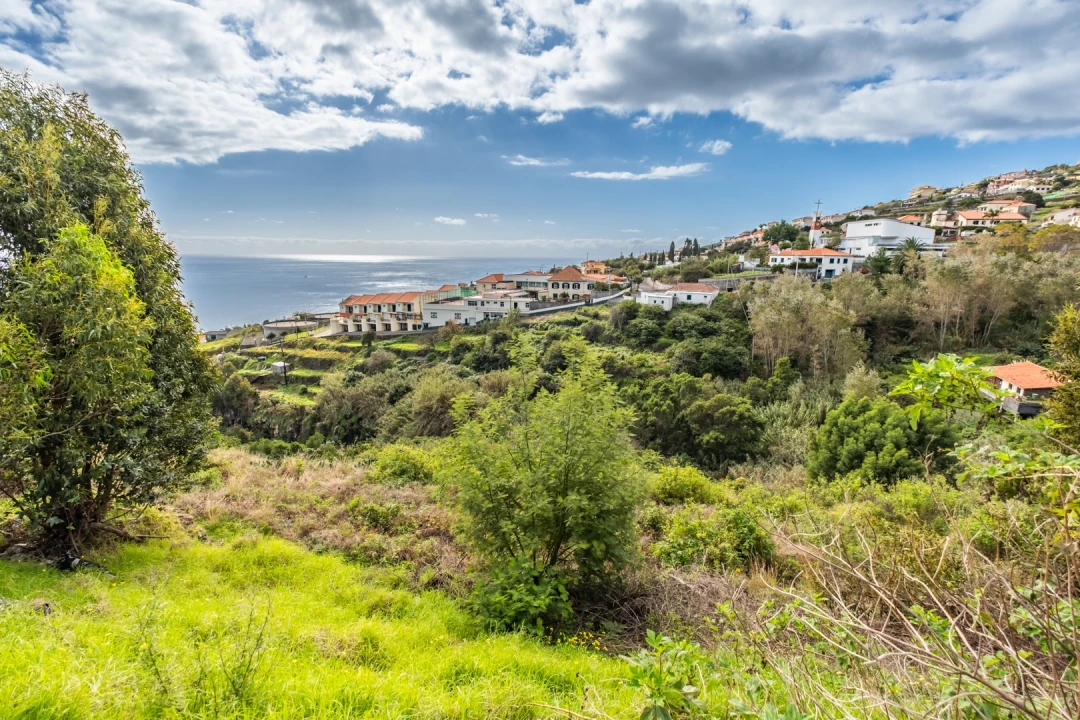 Terreno para Venda em Gaula Foto 11