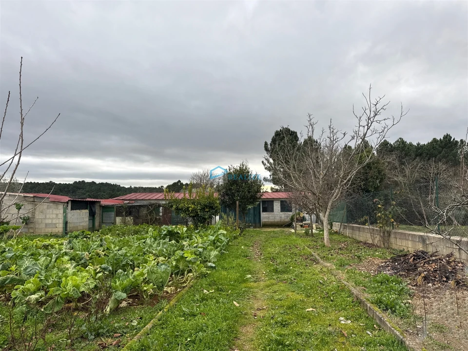 Moradia T4 para Venda em São Martinho de Antas e Paradela de Guiães Foto 19