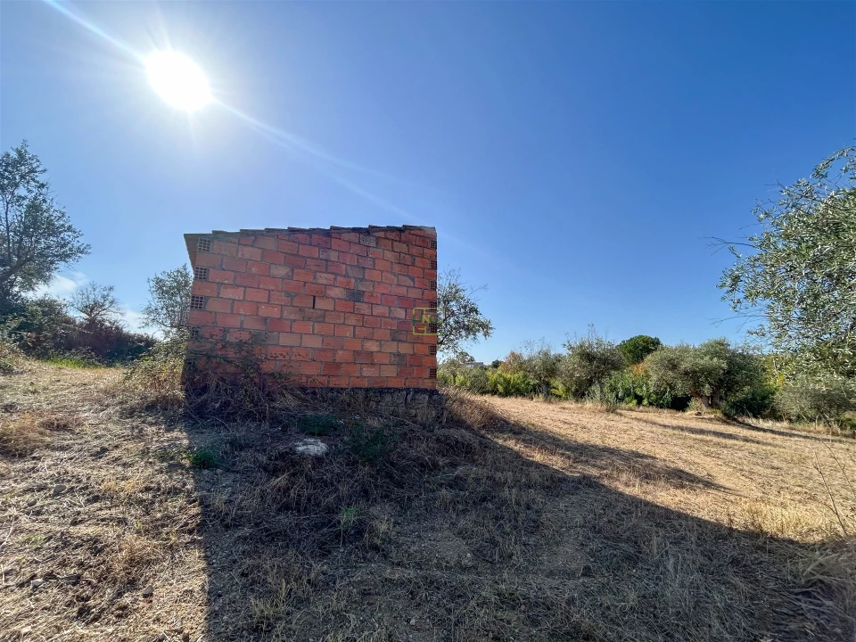 Terreno Agricola ou Rústico para Venda em Ladoeiro Foto 50