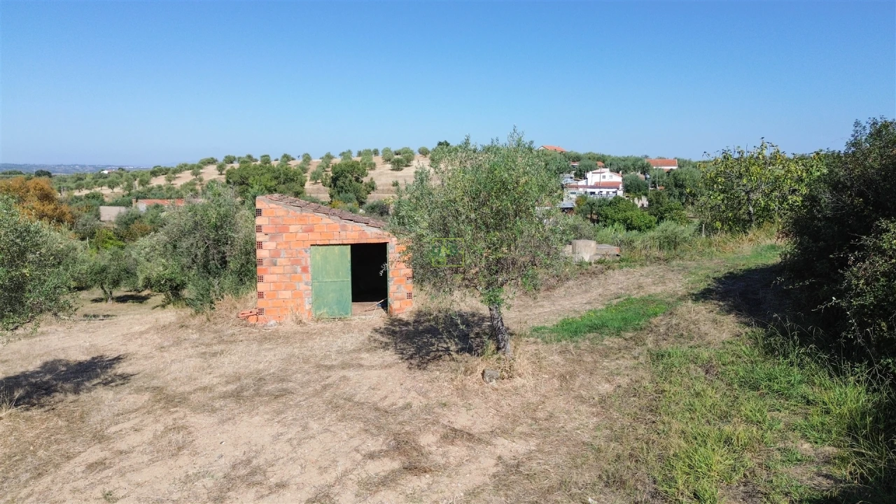 Terreno Agricola ou Rústico para Venda em Ladoeiro Foto 41