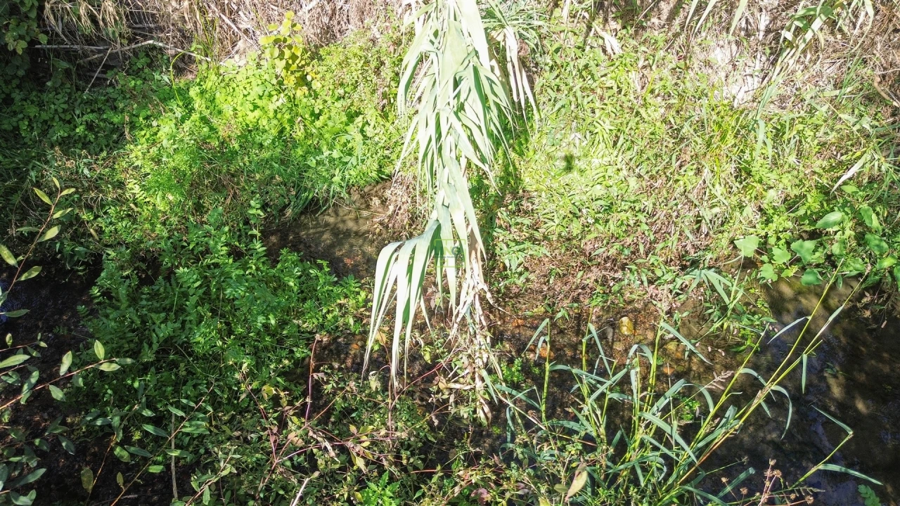 Terreno Agricola ou Rústico para Venda em Ladoeiro Foto 21