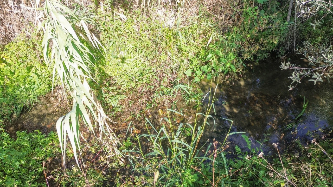 Terreno Agricola ou Rústico para Venda em Ladoeiro Foto 22