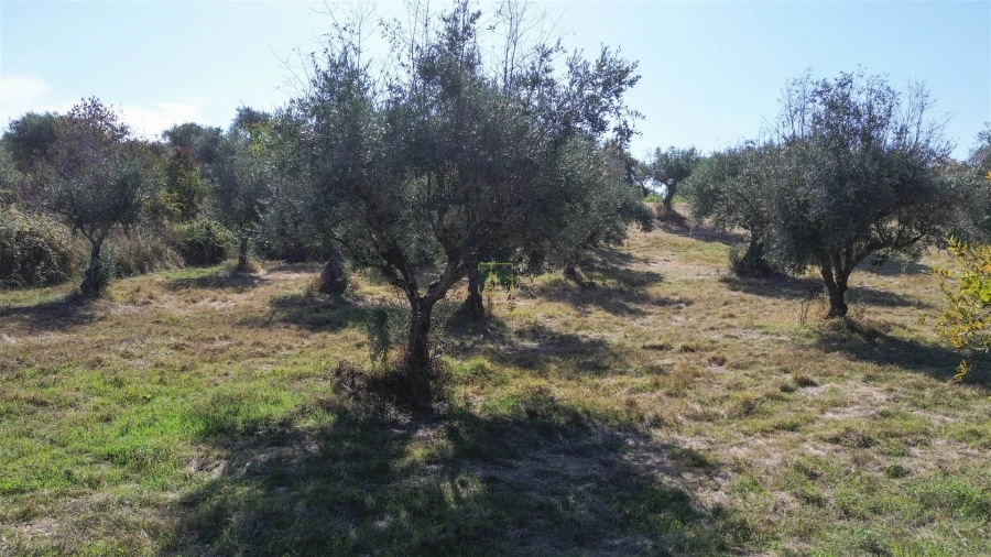 Terreno Agricola ou Rústico para Venda em Ladoeiro Foto 25