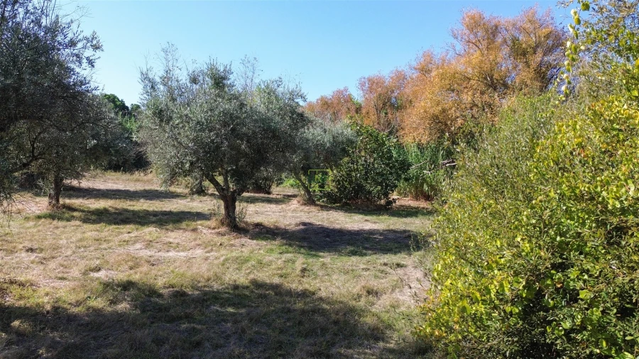 Terreno Agricola ou Rústico para Venda em Ladoeiro Foto 27