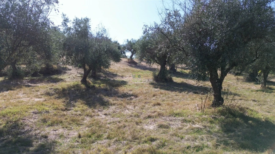 Terreno Agricola ou Rústico para Venda em Ladoeiro Foto 28
