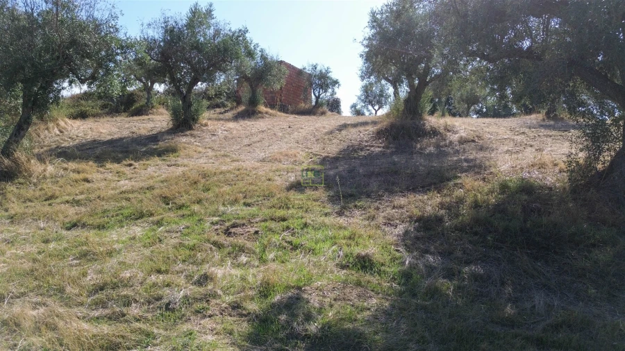 Terreno Agricola ou Rústico para Venda em Ladoeiro Foto 30