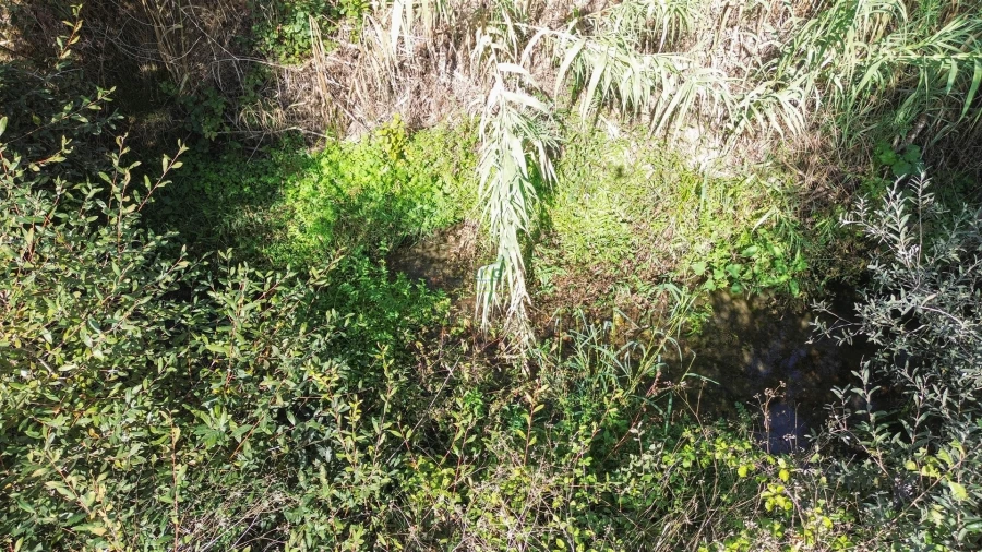 Terreno Agricola ou Rústico para Venda em Ladoeiro Foto 20