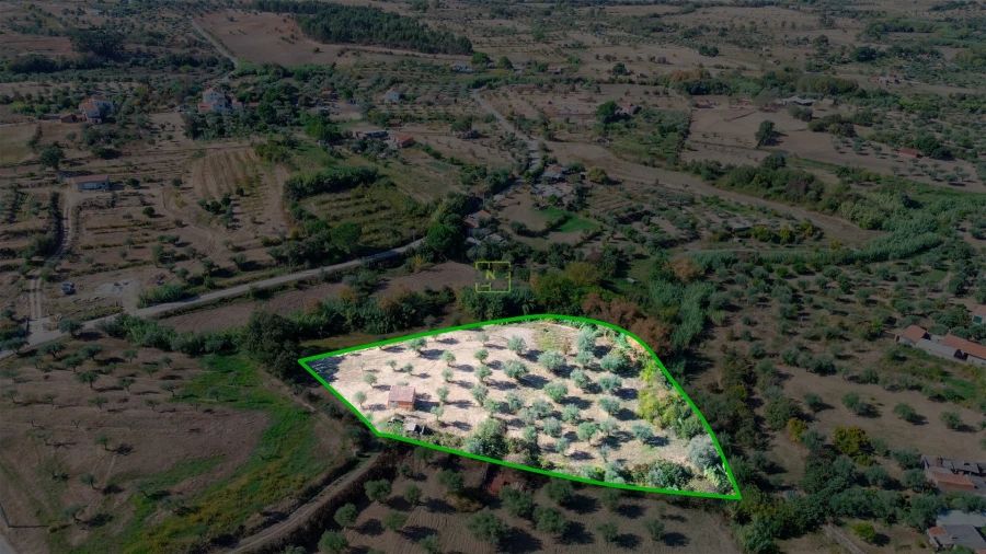 Terreno Agricola ou Rústico para Venda em Ladoeiro Foto 8