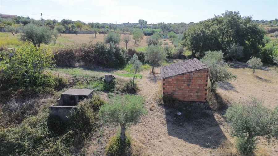 Terreno Agricola ou Rústico para Venda em Ladoeiro Foto 13